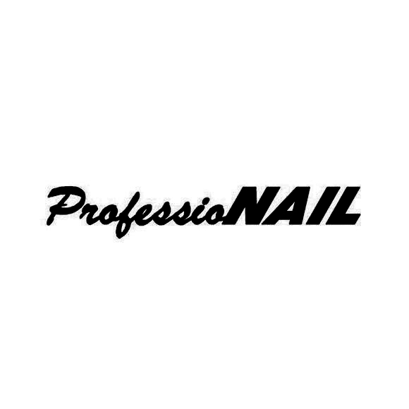 Professionail logo